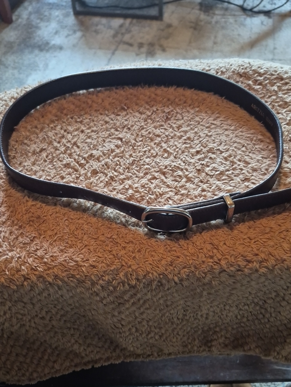 Aritzia BrownLeather Belt with Oval Silver Buckle